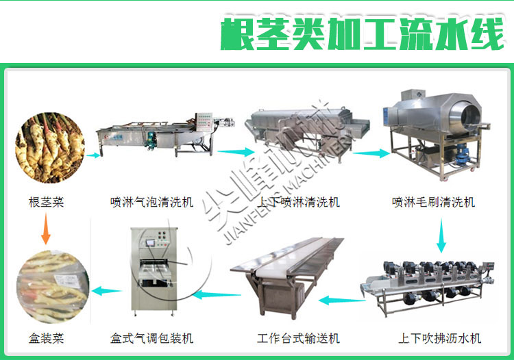 根莖類鮮切凈菜加工設(shè)備