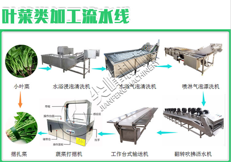 葉菜類清洗漂燙風(fēng)干流水線